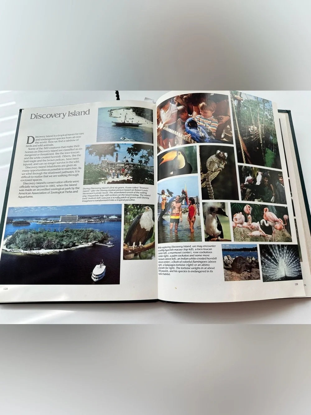 Vintage Walt Disney World Book 1986